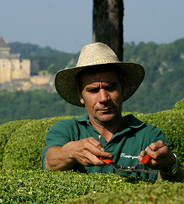 Gardening Services Costa Calida